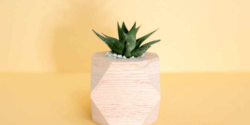 Dealing with Stress? Psychologists can Help.